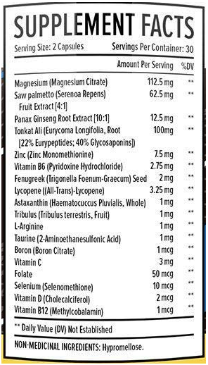 TestX Core ingredients